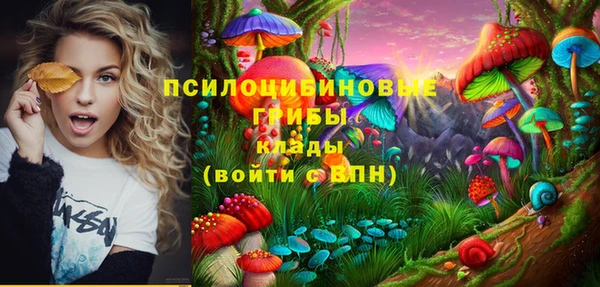 крисы Абдулино