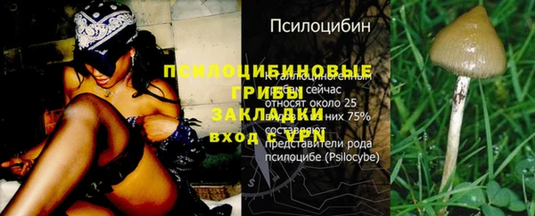 крисы Абдулино